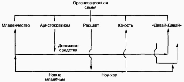 Управление жизненным циклом корпорации Управление жизненным циклом корпорации