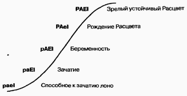 Управление жизненным циклом корпорации Управление жизненным циклом корпорации