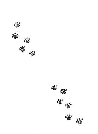 Фамильяры. Книга 2. Загадки Короны Фамильяры. Книга 2. Загадки Короны