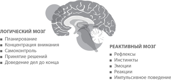 Пять правил выдающейся эффективности. Как достигать главных целей без перегрузок и выгорания Пять правил выдающейся эффективности. Как достигать главных целей без перегрузок и выгорания