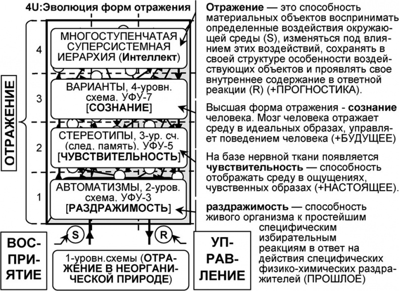 Универсум. Общая теория управления Универсум. Общая теория управления