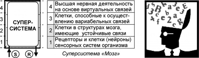 Универсум. Общая теория управления Универсум. Общая теория управления