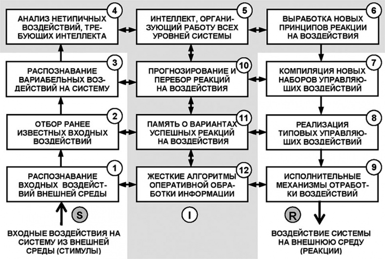 Универсум. Общая теория управления Универсум. Общая теория управления