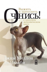 Очнись! Выжить и преуспеть в грядущем экономическом хаосе - Эл Чалаби - Читать книги онлайн | Слушать аудиокниги онлайн | Электронная библиотека books-lib.com