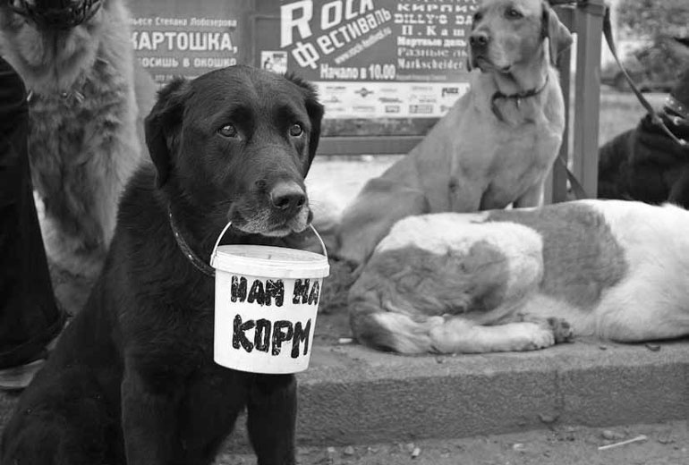Фотография как бизнес: с чего начать, как преуспеть Фотография как бизнес: с чего начать, как преуспеть