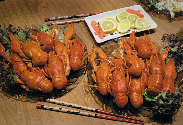 Фотография как бизнес: с чего начать, как преуспеть Фотография как бизнес: с чего начать, как преуспеть