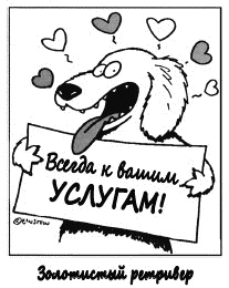 Собаки продаж Собаки продаж