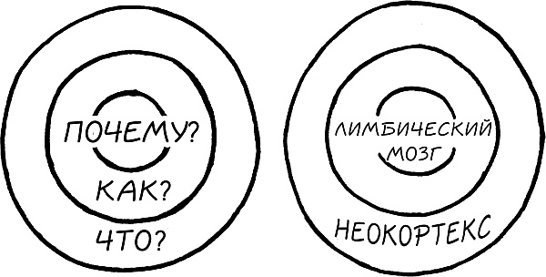 Начни с вопроса "Почему?". Как выдающиеся лидеры вдохновляют действовать Начни с вопроса "Почему?". Как выдающиеся лидеры вдохновляют действовать