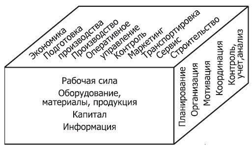 Практика бизнеса. Записки консультанта Практика бизнеса. Записки консультанта