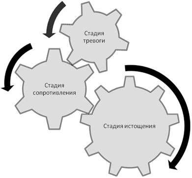 Политический стресс-менеджмент Политический стресс-менеджмент