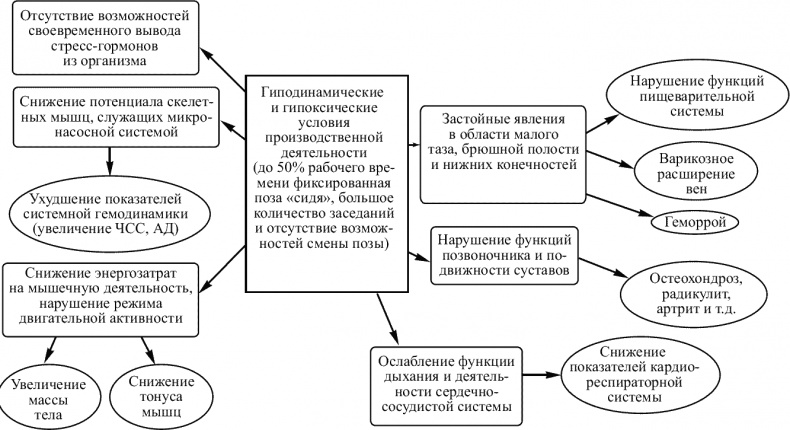 Советы специалиста. Здоровье руководителя – формула успеха Советы специалиста. Здоровье руководителя – формула успеха