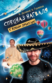 Спецназ нагваля. К новым орбитам! - Владимир Долохов - Читать книги онлайн | Слушать аудиокниги онлайн | Электронная библиотека books-lib.com