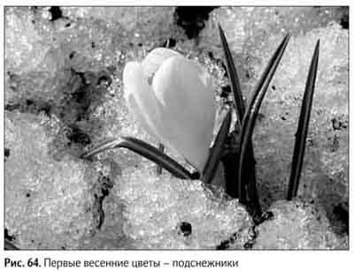 Не может быть. Парадоксы в рекламе, бизнесе и жизни Не может быть. Парадоксы в рекламе, бизнесе и жизни