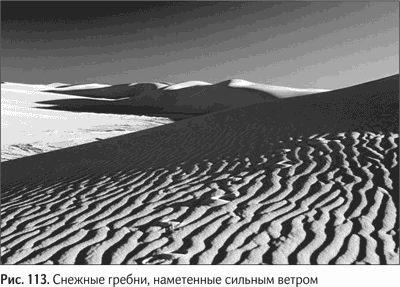Не может быть. Парадоксы в рекламе, бизнесе и жизни Не может быть. Парадоксы в рекламе, бизнесе и жизни