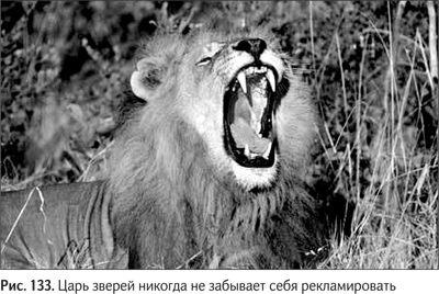 Не может быть. Парадоксы в рекламе, бизнесе и жизни Не может быть. Парадоксы в рекламе, бизнесе и жизни