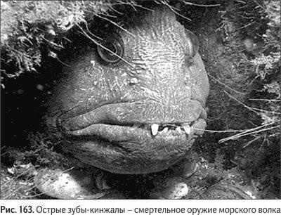 Не может быть. Парадоксы в рекламе, бизнесе и жизни Не может быть. Парадоксы в рекламе, бизнесе и жизни