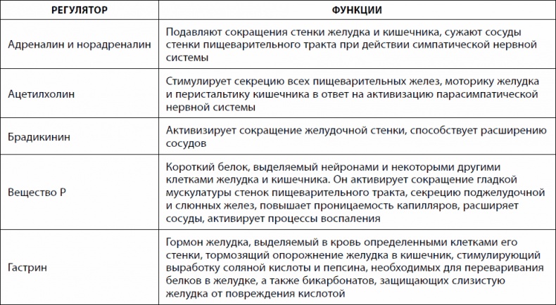 Кишечник долгожителя. 7 принципов диеты, замедляющей старение Кишечник долгожителя. 7 принципов диеты, замедляющей старение