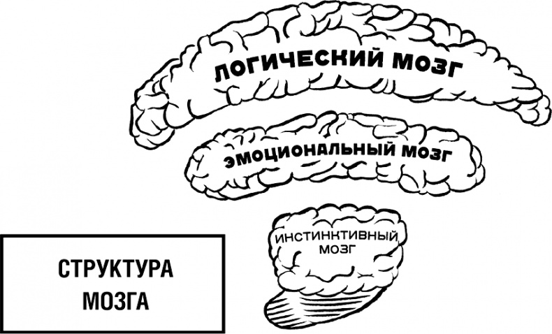 Говори, вдохновляй. Как завоевать доверие слушателей и увлечь их своими идеями Говори, вдохновляй. Как завоевать доверие слушателей и увлечь их своими идеями
