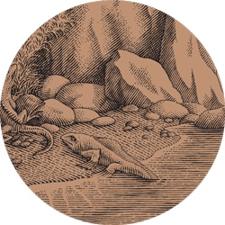 Счастливый клевер человечества. Всеобщая история открытий, технологий, конкуренции и богатства Счастливый клевер человечества. Всеобщая история открытий, технологий, конкуренции и богатства