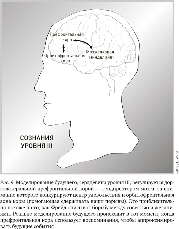 Будущее разума Будущее разума