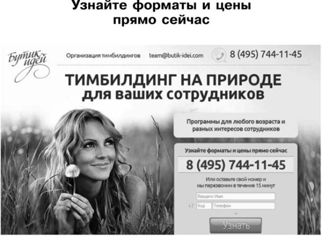 Идеальный Landing Page. Создаем продающие веб-страницы Идеальный Landing Page. Создаем продающие веб-страницы