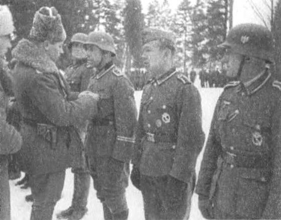 Казаки. Между Гитлером и Сталиным Казаки. Между Гитлером и Сталиным