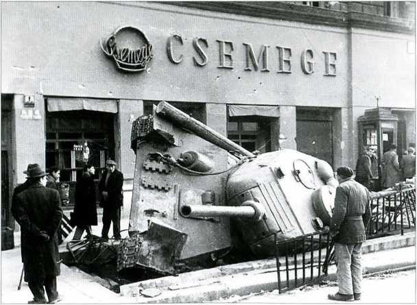1956. Венгрия глазами очевидца 1956. Венгрия глазами очевидца