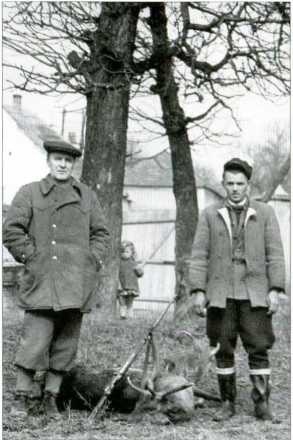 1956. Венгрия глазами очевидца 1956. Венгрия глазами очевидца