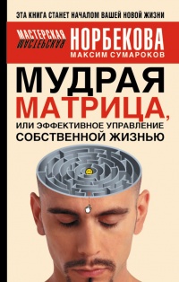 Мудрая матрица, или Эффективное управление собственной жизнью - Максим Сумароков - Читать книги онлайн | Слушать аудиокниги онлайн | Электронная библиотека books-lib.com