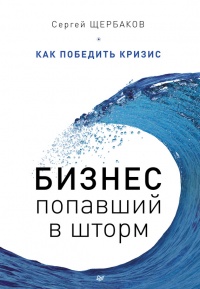 Бизнес, попавший в шторм. Как победить кризис - Сергей Щербаков - Читать книги онлайн | Слушать аудиокниги онлайн | Электронная библиотека books-lib.com