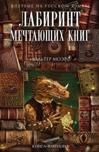 Лабиринт Мечтающих Книг - Вальтер Моэрс - Читать книги онлайн | Слушать аудиокниги онлайн | Электронная библиотека books-lib.com