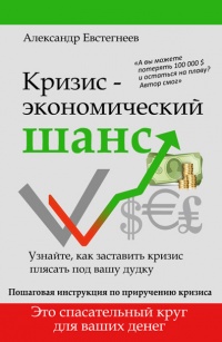 Кризис: экономический шанс - Александр Евстегнеев - Читать книги онлайн | Слушать аудиокниги онлайн | Электронная библиотека books-lib.com