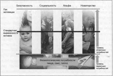 Нейромаркетинг. Визуализация эмоций Нейромаркетинг. Визуализация эмоций