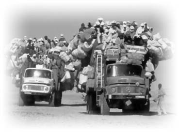 Нецензурные заметки Евгения Сивкова о российском консалтинге Нецензурные заметки Евгения Сивкова о российском консалтинге