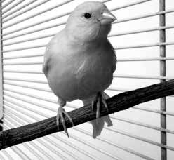 Нецензурные заметки Евгения Сивкова о российском консалтинге Нецензурные заметки Евгения Сивкова о российском консалтинге