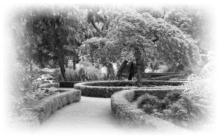 Нецензурные заметки Евгения Сивкова о российском консалтинге Нецензурные заметки Евгения Сивкова о российском консалтинге