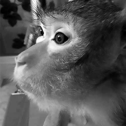 Нецензурные заметки Евгения Сивкова о российском консалтинге Нецензурные заметки Евгения Сивкова о российском консалтинге