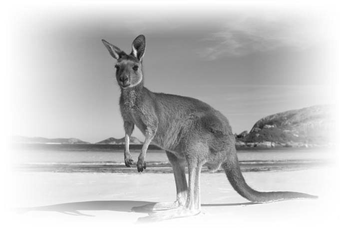 Нецензурные заметки Евгения Сивкова о российском консалтинге Нецензурные заметки Евгения Сивкова о российском консалтинге