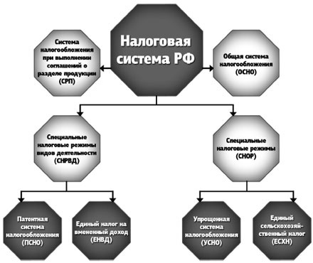 Специальные налоговые режимы: УСНО, ЕНВД, ПНСН, ЕСХН. Как выжать максимум? Специальные налоговые режимы: УСНО, ЕНВД, ПНСН, ЕСХН. Как выжать максимум?