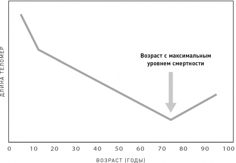 Эффект теломер. Революционный подход к более молодой, здоровой и долгой жизни Эффект теломер. Революционный подход к более молодой, здоровой и долгой жизни