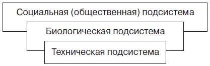 Теория организации Теория организации