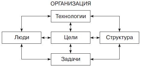 Теория организации Теория организации