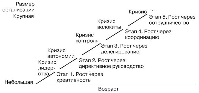 Теория организации Теория организации