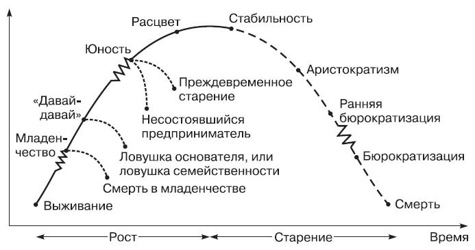 Теория организации Теория организации