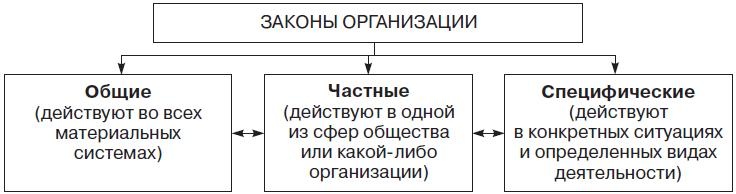 Теория организации Теория организации