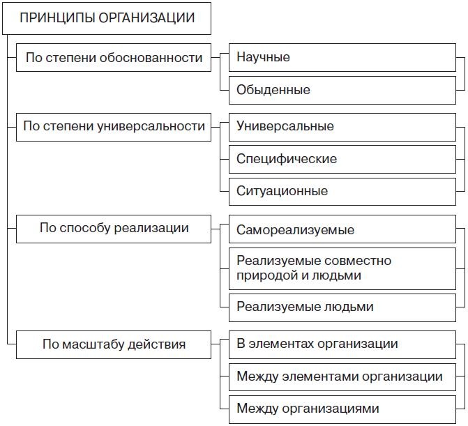 Теория организации Теория организации