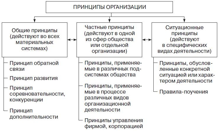 Теория организации Теория организации