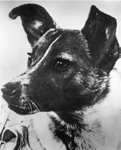 Юрий Гагарин. Человек-легенда Юрий Гагарин. Человек-легенда