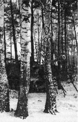 Танковые рейды 1941-1945 Танковые рейды 1941-1945