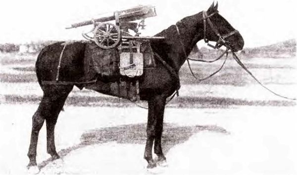 Штурм Карпат. Зима 1915 года Штурм Карпат. Зима 1915 года